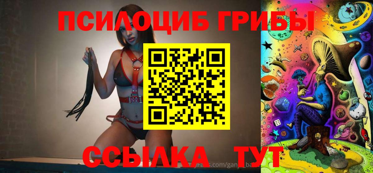 купить закладку  Псилоцибиновые грибы MAGIC MUSHROOMS  Новозыбков  Вход с VPN  Галлюциногенные грибы мицелий 